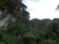 217 215 IMGP1828